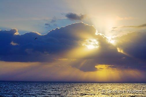 Morning Sunrays_29049.jpg - Photographed beside Matagorda Bay near Port Lavaca, Texas, USA.
